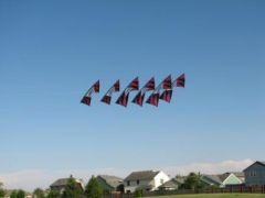 IMG_0080.JPG