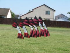 IMG_0077.JPG