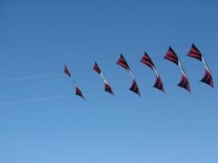 IMG_0065.JPG