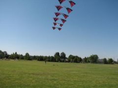 IMG_0068.JPG