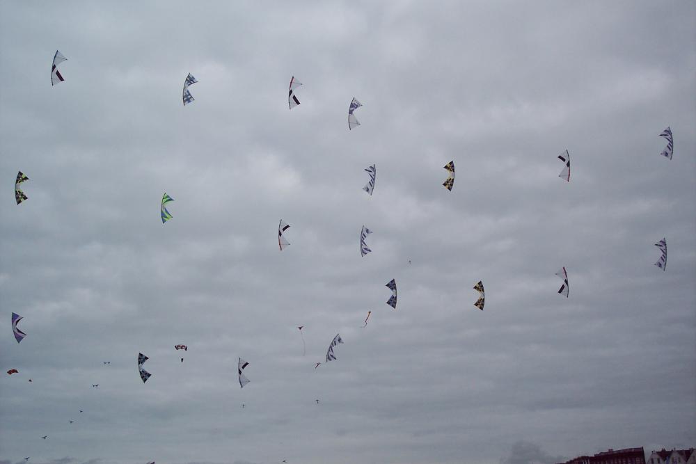 Portsmouth Megafly 2009