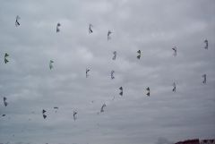 Portsmouth Megafly-1.JPG