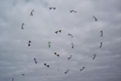 Portsmouth Megafly-2.JPG