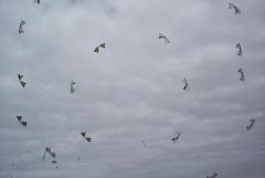 Portsmouth Megafly-3.JPG