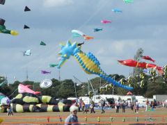 Kite Festival 029.jpg