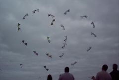 Portsmouth Megafly-7.JPG