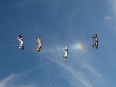 Kites in front of Sun Dog