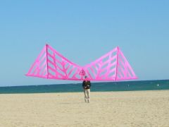 Pink.jpg