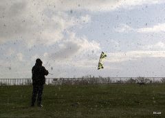 kites 006.jpg