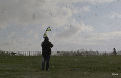 kites 007.jpg