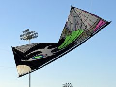 The Dark Side Of Gibian