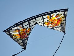 Second Edition Bazzar Dragons