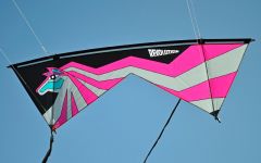 Jose Saintz Stallion