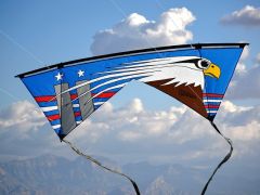 Bazzar 9-11 Revolution Custom