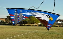 Bazzar 9-11 Revolution Custom