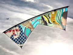 Custom 6 Artist Revolution