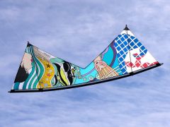 Custom 6 Artist Revolution