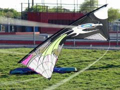 Gibian Dragon (again)