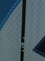 Zen Rod 1.jpg