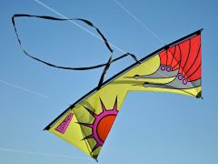 Ron Gibian Rising Phoenix