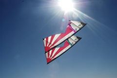 My two Randy Tom Samurai Girls - Stacked