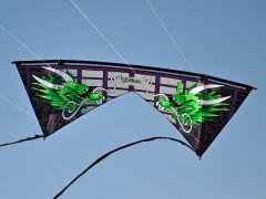 Bazzar Dragon - Black & Purple