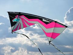 Jose Saintz Stallion