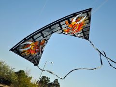 Second Edition Bazzar Dragons