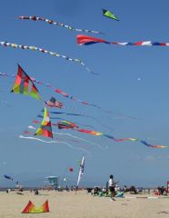 IMG_2539as.jpg