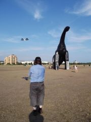 Flying close to the dinosaur