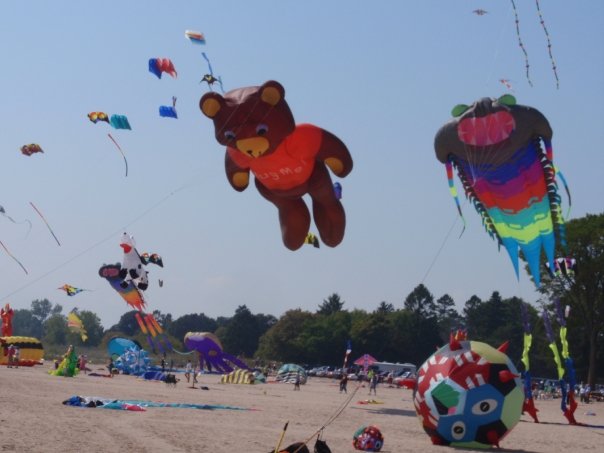 Kites Over Lake Michigan 2009