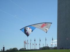 Dark Lady by Randy Tom at The Washington Monument 10-16-10