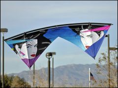 New Randy Tom Nagal Rev.