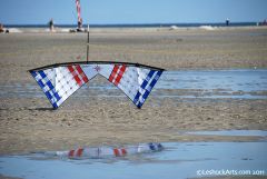 03_AKANat2011_RWBWeave2.jpg