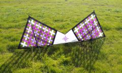 dragonfish's kites