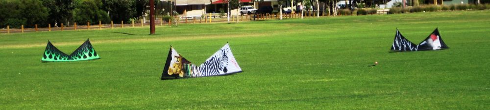 my masterpiece kites
