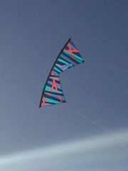 Amexpmh "Marshall's" kites